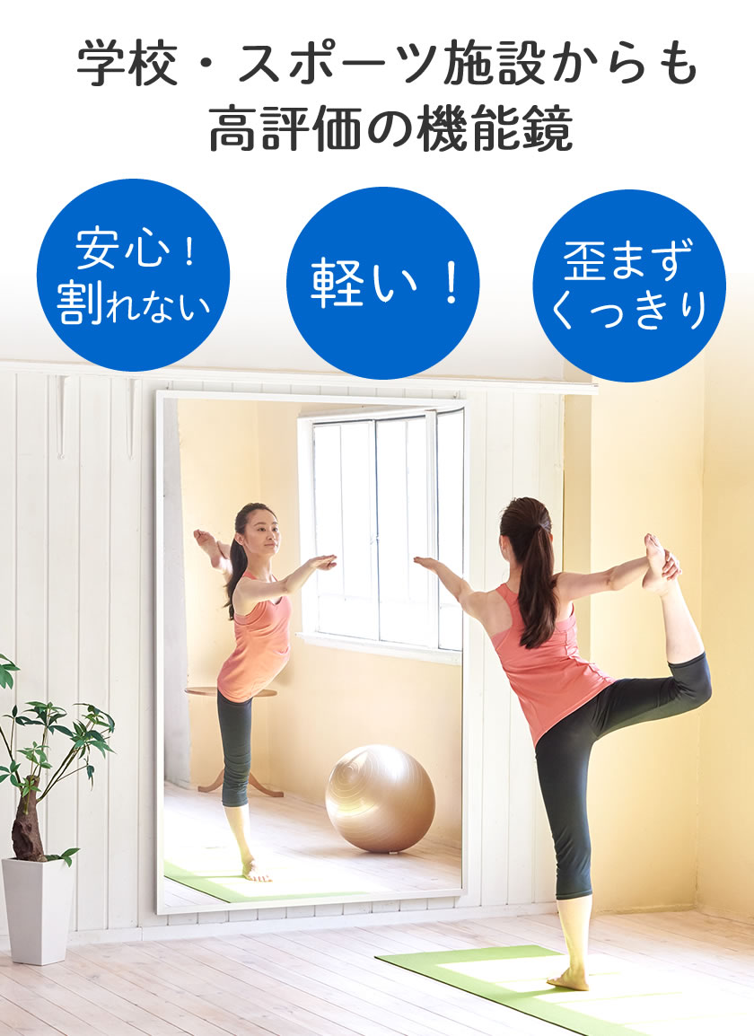 楽天市場】＼ポイント5倍☆28日まで！／ リフェクスミラー 壁掛け