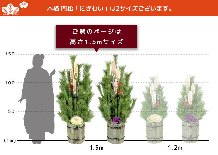 楽天市場】本格 門松 一対「にぎわい」高さ1.5m 150cm 一対 2台 （関西
