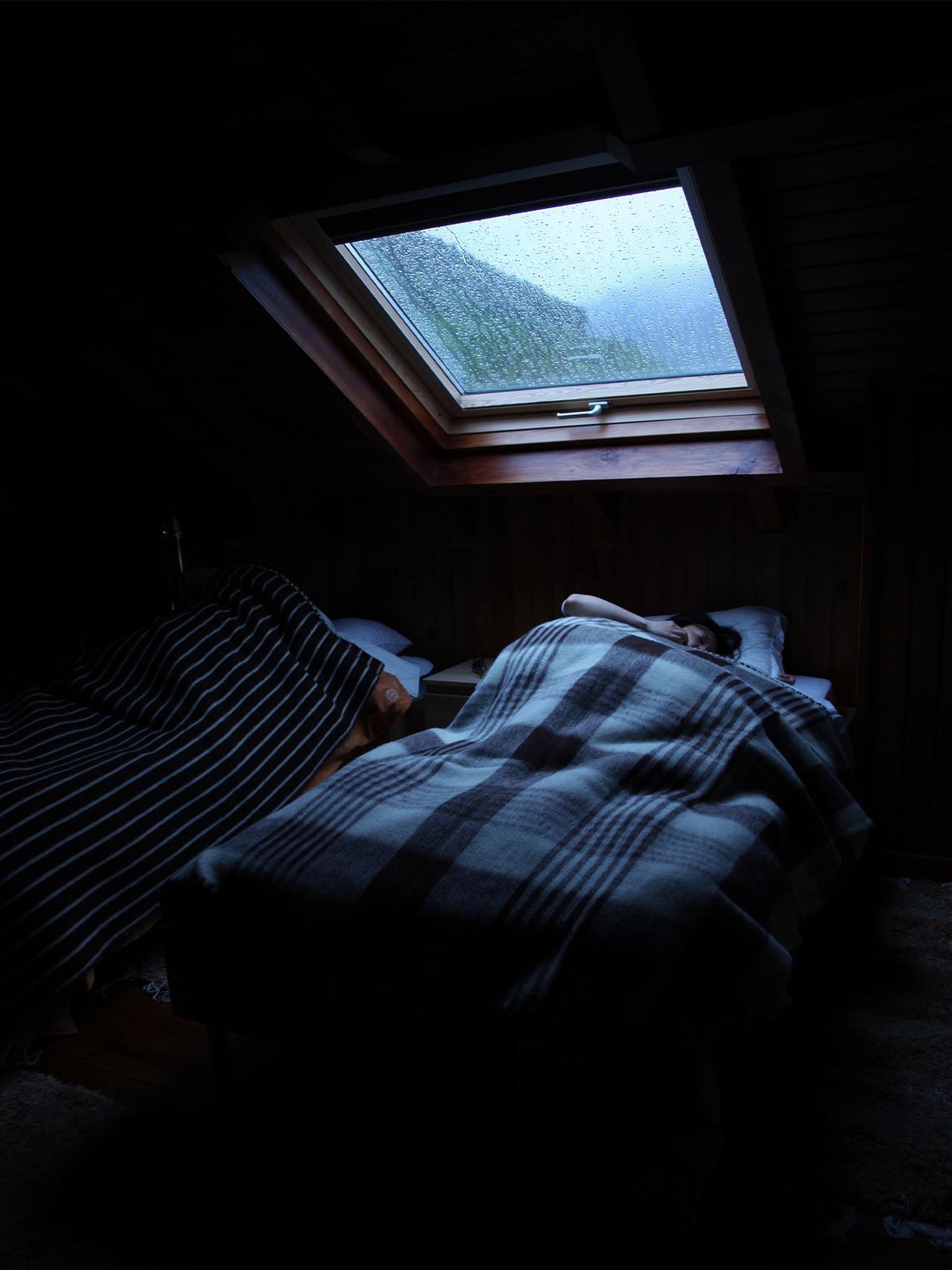 楽天市場】エコラ / ブランケット シングル [ECOLA] : scope version.R