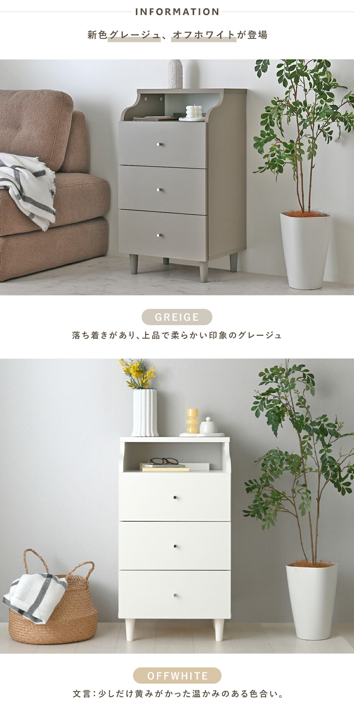 楽天市場】3/1(日)限定！最大20％OFFクーポン配布中♪ テレビで紹介