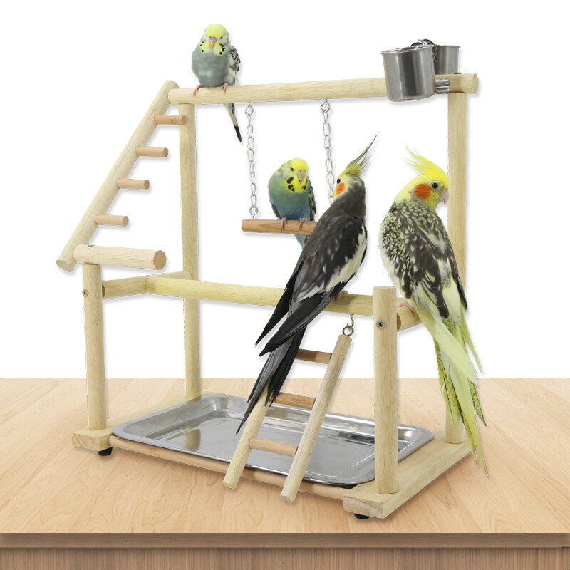 楽天市場】インコ 遊び場 二層 バード アスレチック 玩具 スタンド
