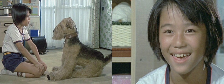 楽天市場】ふしぎ犬トントン DVD-BOX HDリマスター 昭和の名作ライブ