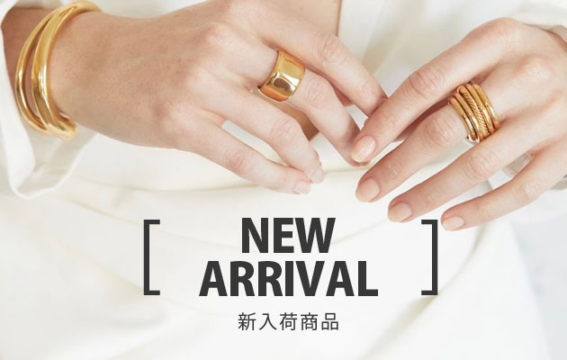 インディアンブローチ✴︎Peyote Bird Designs イーグル ntique Navajo Sterling 