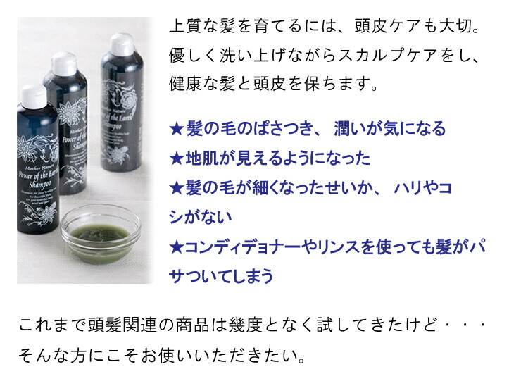 楽天市場】【2本セット】大地の力シャンプー 300ml（テンプル