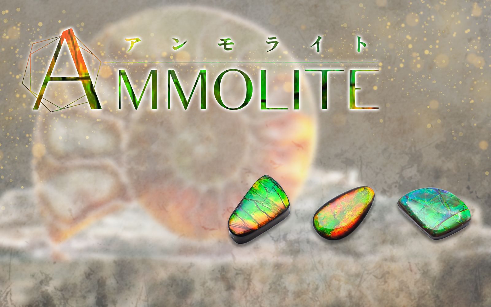 太古の海が遺した奇跡の宝石・アンモライト｜悠久の時に育まれた虹色の