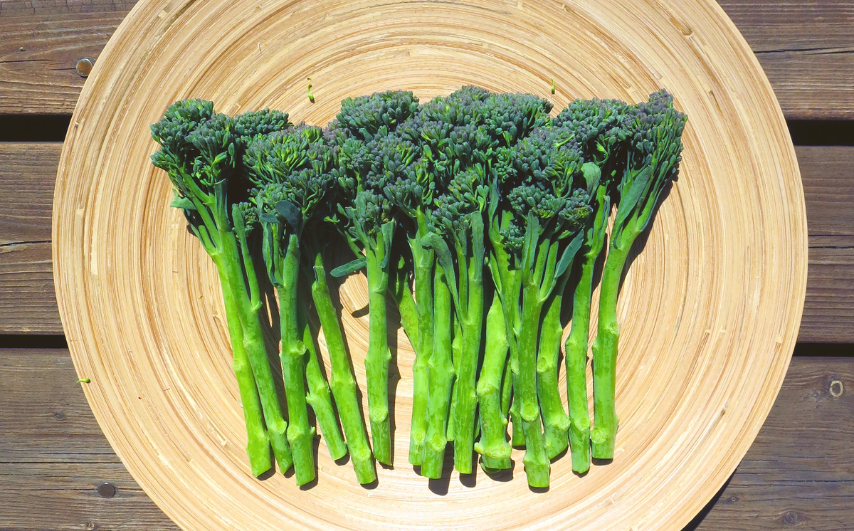 野菜の育て方コラム】一般的ブロッコリーとちょっと違う？茎