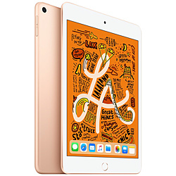 ipad mini 5 第5世代 64GB ゴールド Amazon.co.jp: 【整備済み品