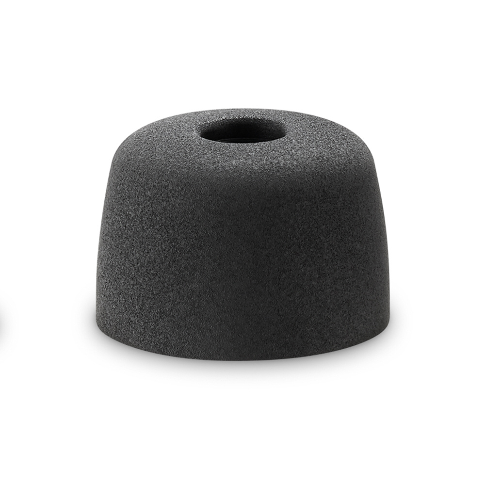 WF-1000XM5用 イヤーピース L 左右分1ペア EP-NI1010LQ｜の通販は