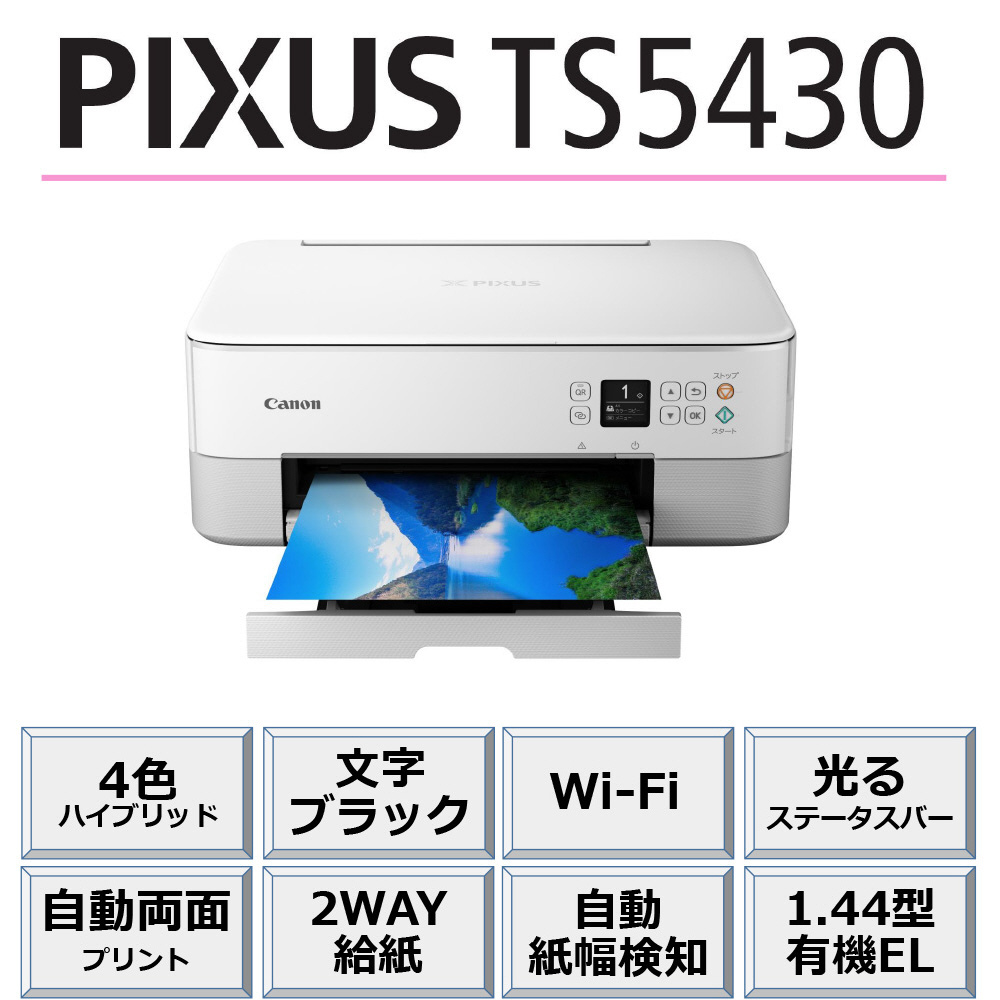 TS5430 インクジェット複合機 PIXUS ホワイト ［カード／名刺～A4