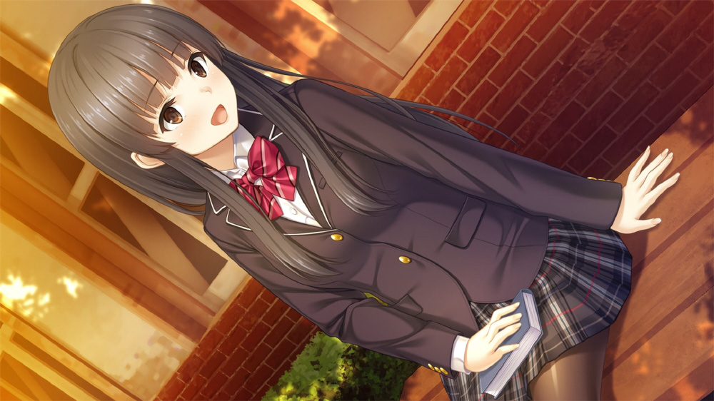 フルキスSS 完全生産限定版｜の通販はソフマップ[sofmap]