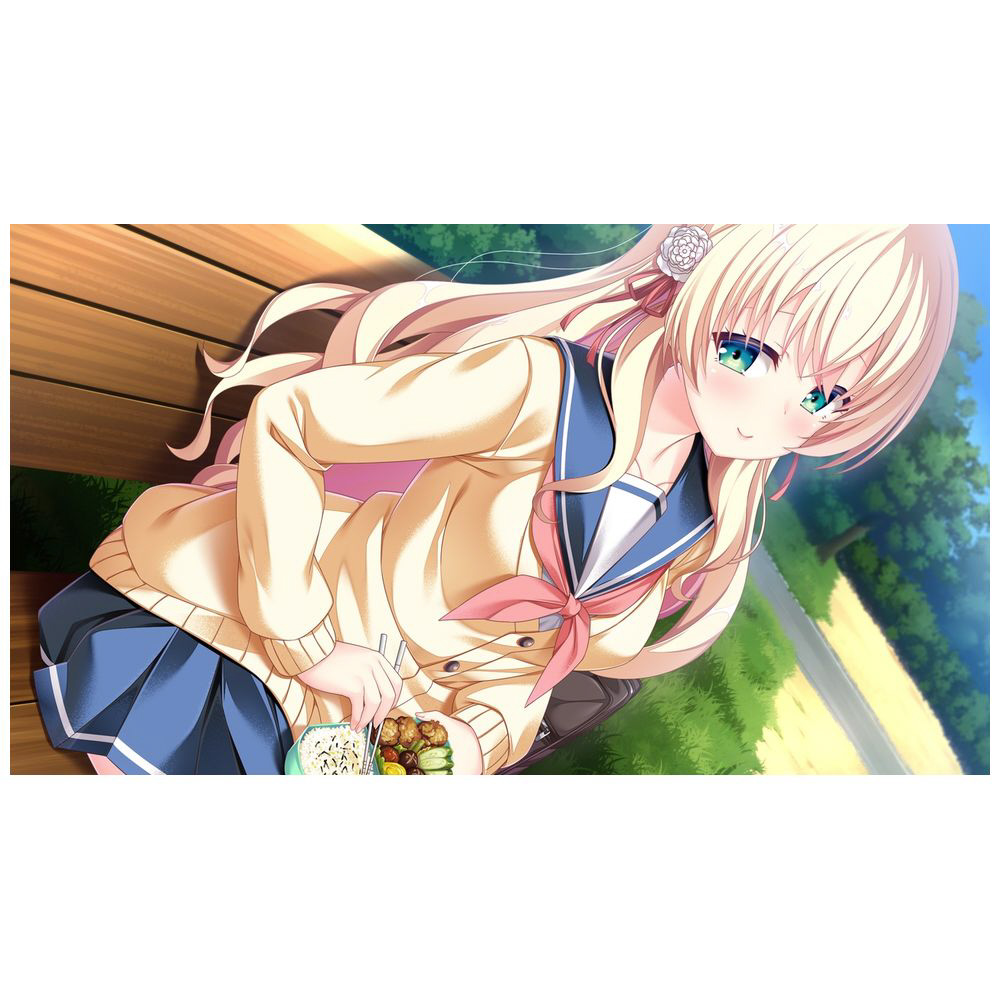 放課後シンデレラ2 完全生産限定版｜の通販はソフマップ[sofmap]