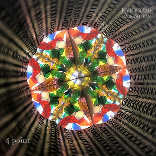 万華鏡：ドライチェンバー]Industrial Vision -one of a kind