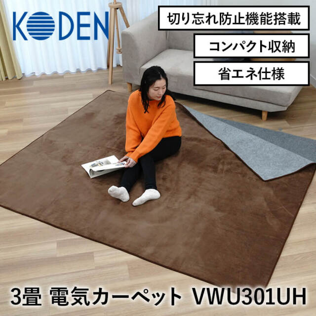 送料無料】【KODEN】広電 電気カーペット ホットカーペット235×176cm 3