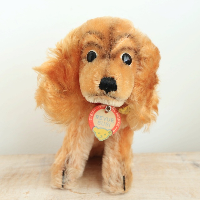 アンティーク シュタイフ コッカースパニエル Steiff Susi 17cm