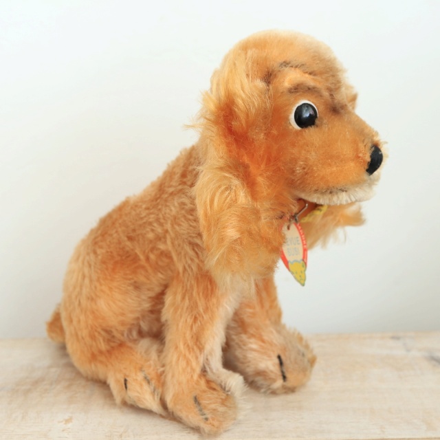 アンティーク シュタイフ コッカースパニエル Steiff Susi 17cm