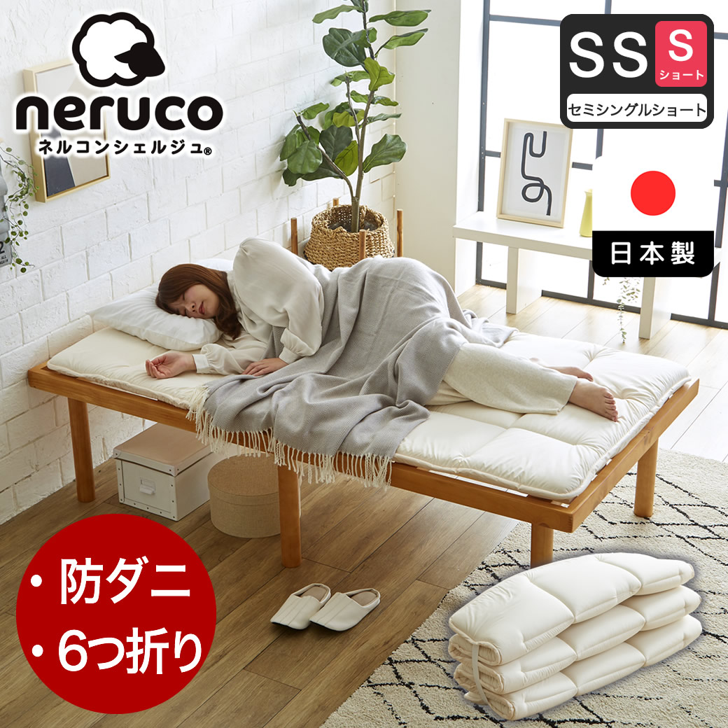 14013630.jpg?t=20241113114650