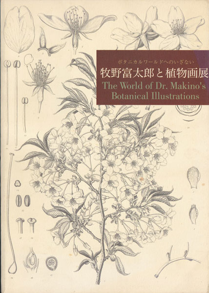 古書古本 dessin: ボタニカルワールドへのいざない 牧野富太郎と植物画