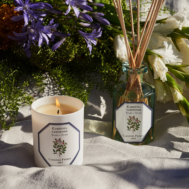 francjour フランジュール ｜ Carriere Freres フレグランスキャンドル