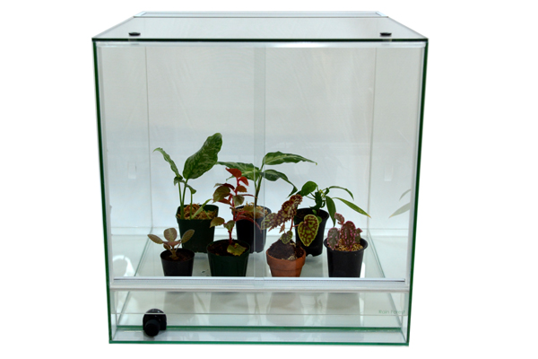 佐川急便発送・送料無料】Rain Forest パルダリウムケージプロ PCP6045