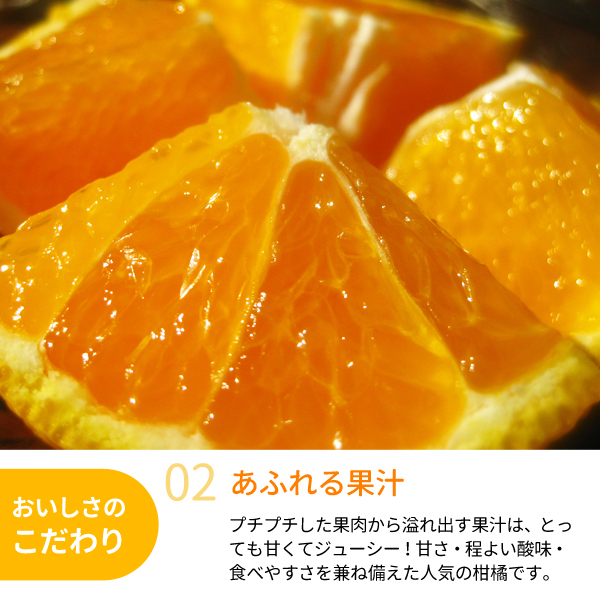 送料無料】木熟デコポン 約3kg（10～13玉入り）[インターネット限定