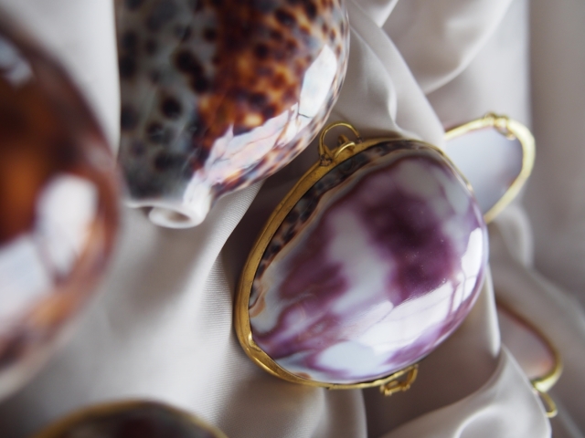 貝殻の小物入れ-タカラガイ(ムラサキ)-【6cm前後/1個】 En: Shell coin