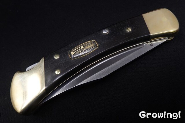 ナイフショップ グローイング！□BUCK【バック】ナイフ□ #110