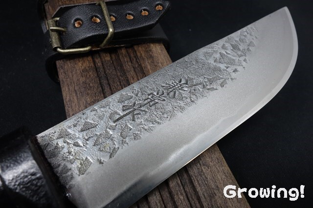 ナイフショップ グローイング！□関兼常作【KANETUNE】□ 「漣