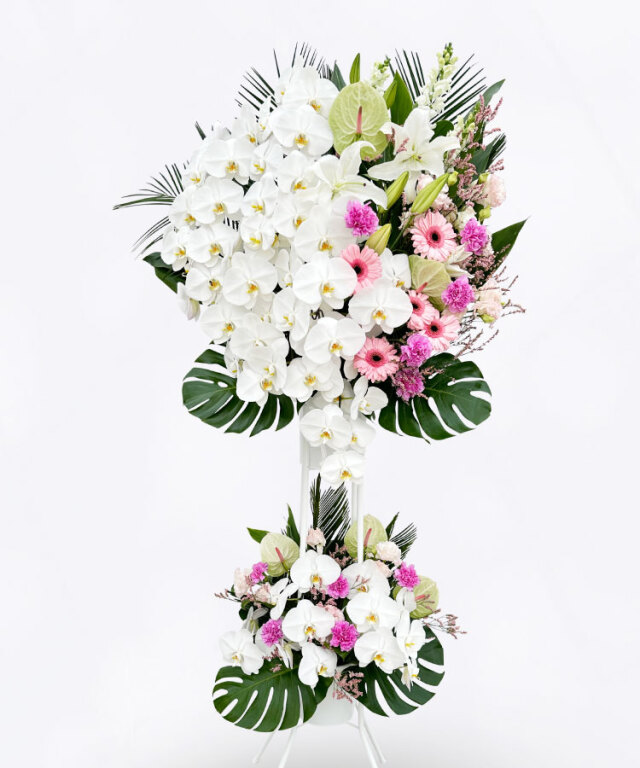 開店 祝い 花】 胡蝶蘭 高級スタンド /キャスケード（2段）ピンク