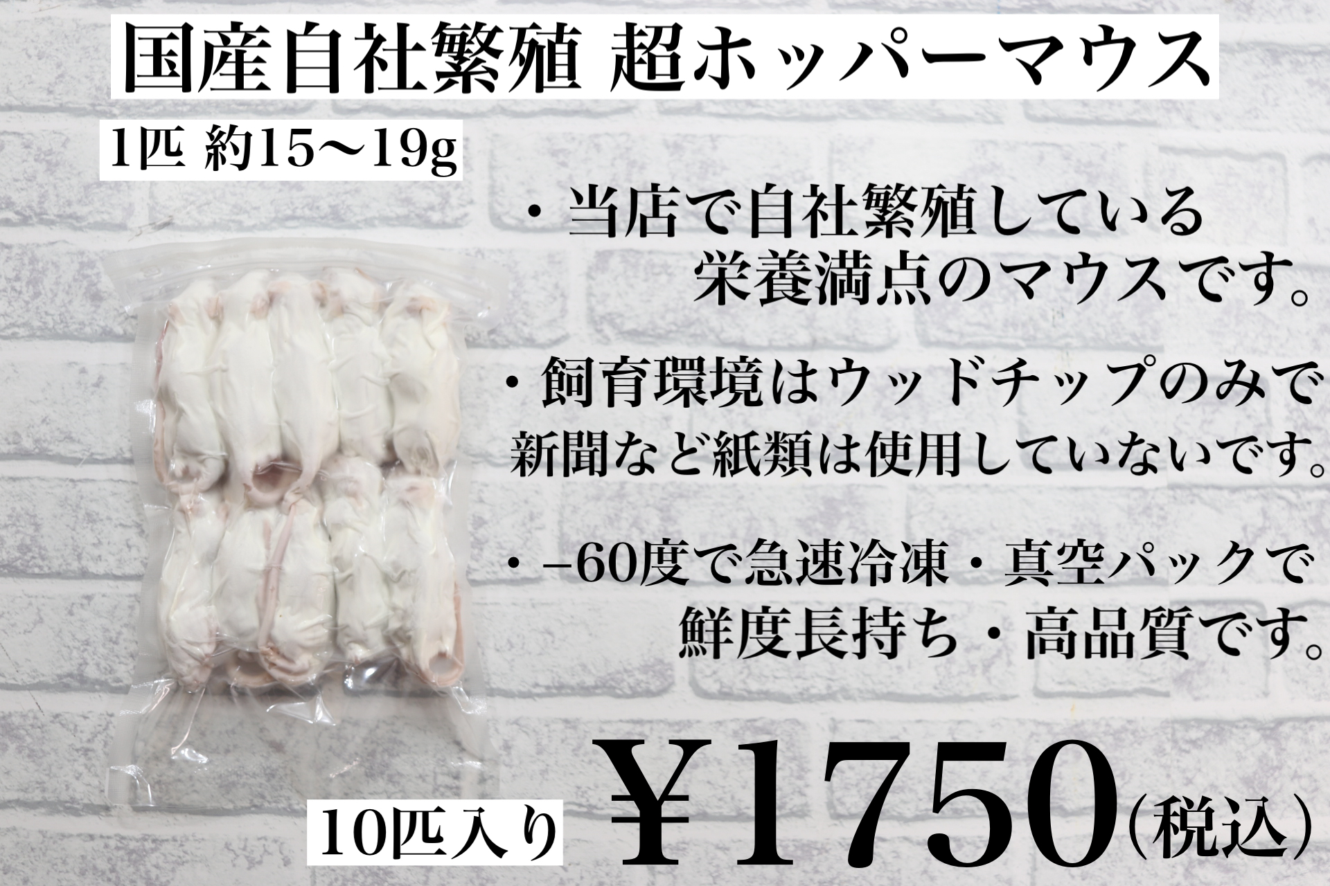 冷凍 国産 ホッパーマウス 10匹入り