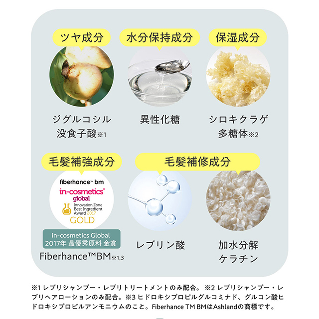 レブリ ヘアーローション LEVULI HairLotion /髪質改善 酸熱