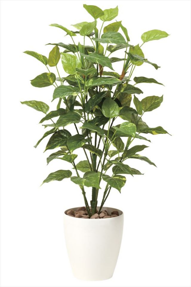 光触媒 光の楽園ポトス1.0m【インテリア フェイクグリーン 人工観葉