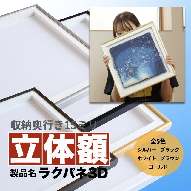 ラクパネ3D 立体額