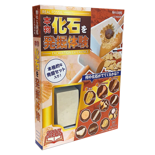 触れる図鑑シリーズ [化石発掘体験]