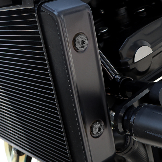 Z900RS 64チタン ラジエター サイドカバー用 ボルトセット ブラック