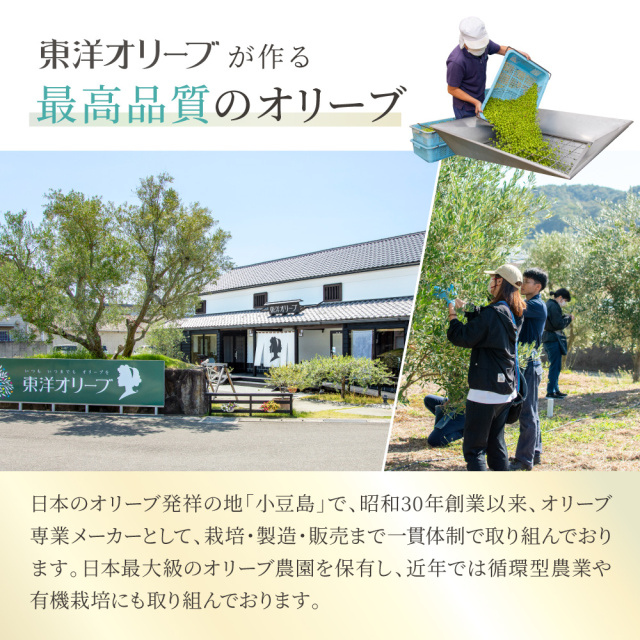 トレアエメラルド エキストラバージンオリーブオイル 40ml