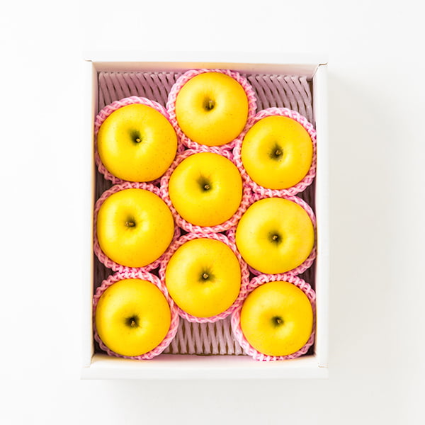 朝日町の蜜入りりんご はるか約3kg(8〜10玉)