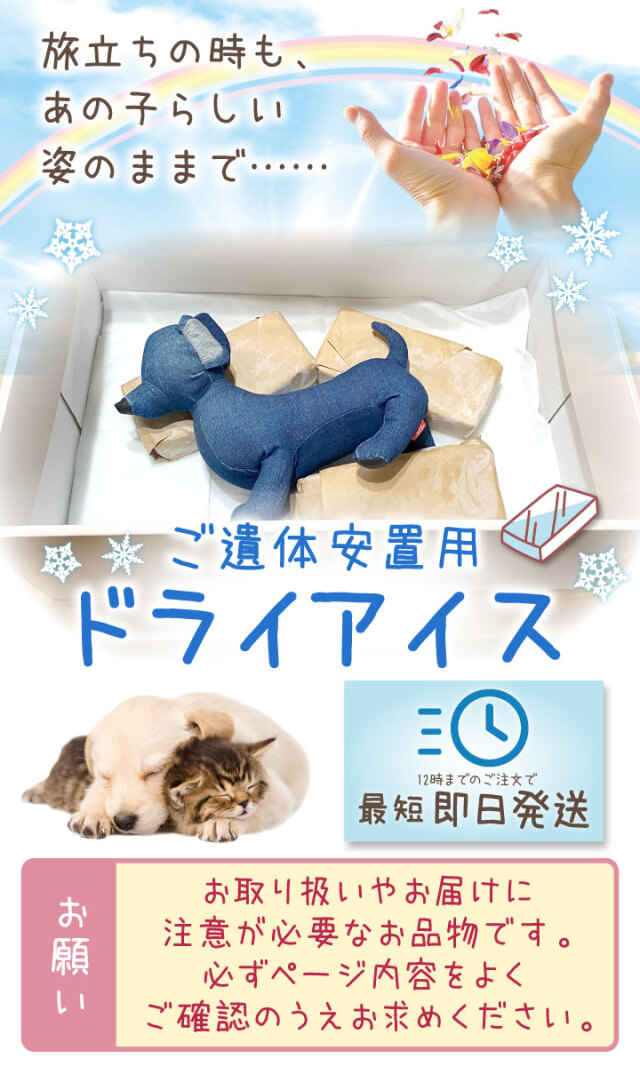 ドライアイス 5kg クール便 ペット 遺体 安置用 小型犬 猫 うさぎ 最短