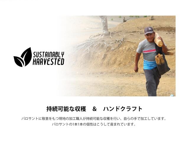 ◇ペルー産 パロサントフレーク◇聖なる樹 ホーリーツリー◇古代インカ