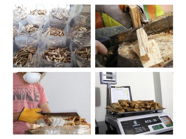 ◇ペルー産 パロサントフレーク◇聖なる樹 ホーリーツリー◇古代インカ