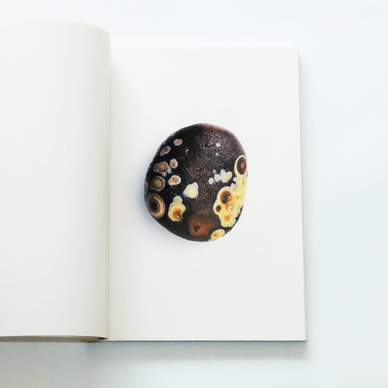 Babaghuri: Jurgen Lehl | Book Ernest