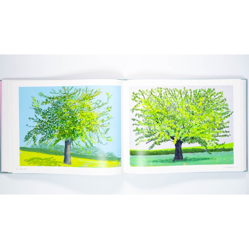 David Hockney. 220 for 2020 | Art Book Iskusstvo