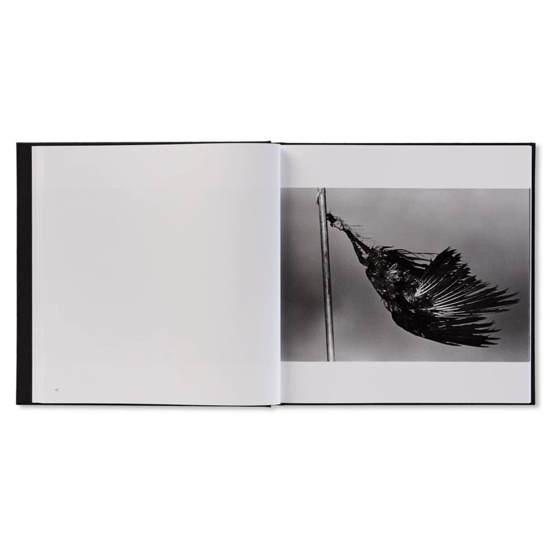 鴉（RAVENS） / 深瀬昌久 | ホホホ座浄土寺店