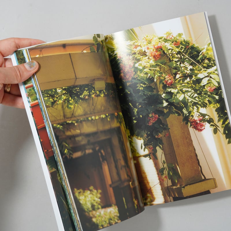 新刊サイン入/New,Signed] Strong memory / 佐内正史 | book