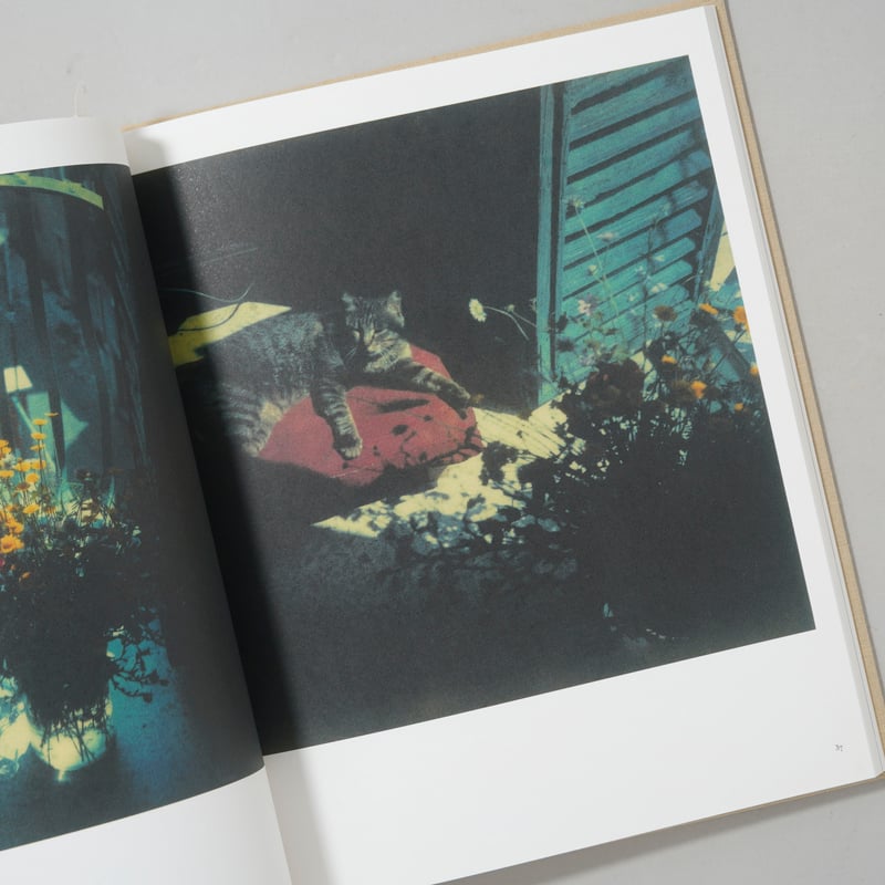 Bright, bright day / Andrey Tarkovsky(アンドレイ・タルコ