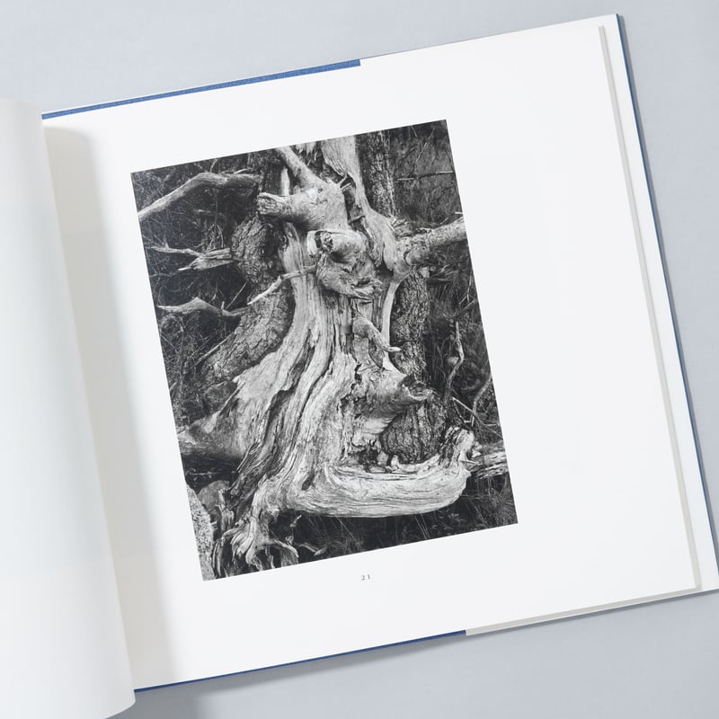 NEW ENGLAND DAYS / Paul Caponigro(ポール・カポニグロ) |