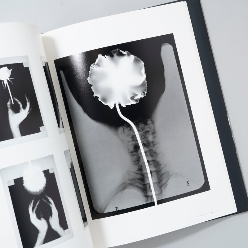 時空の鏡 Mirror of Space and Time / 奈良原一高(Ikko Nara