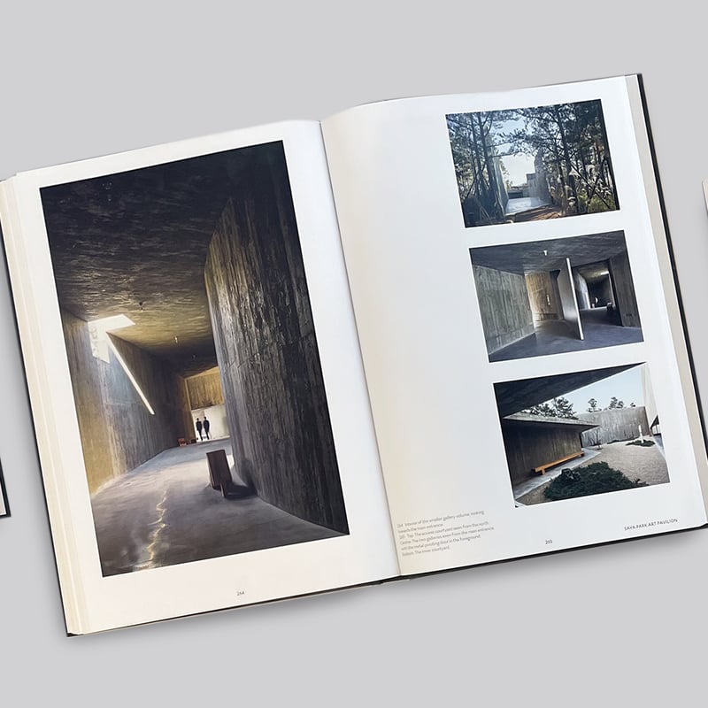 Álvaro Siza / Before/After | POST