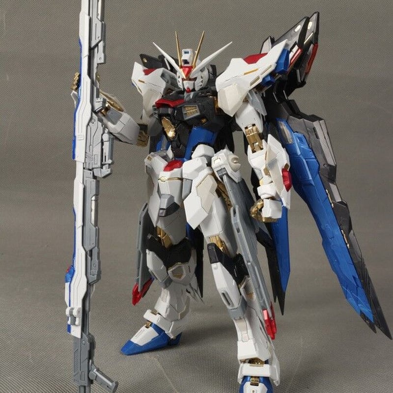 ガンダムSEED DESTINY カスタムデザインガンプラ MG 1/100 ストライク