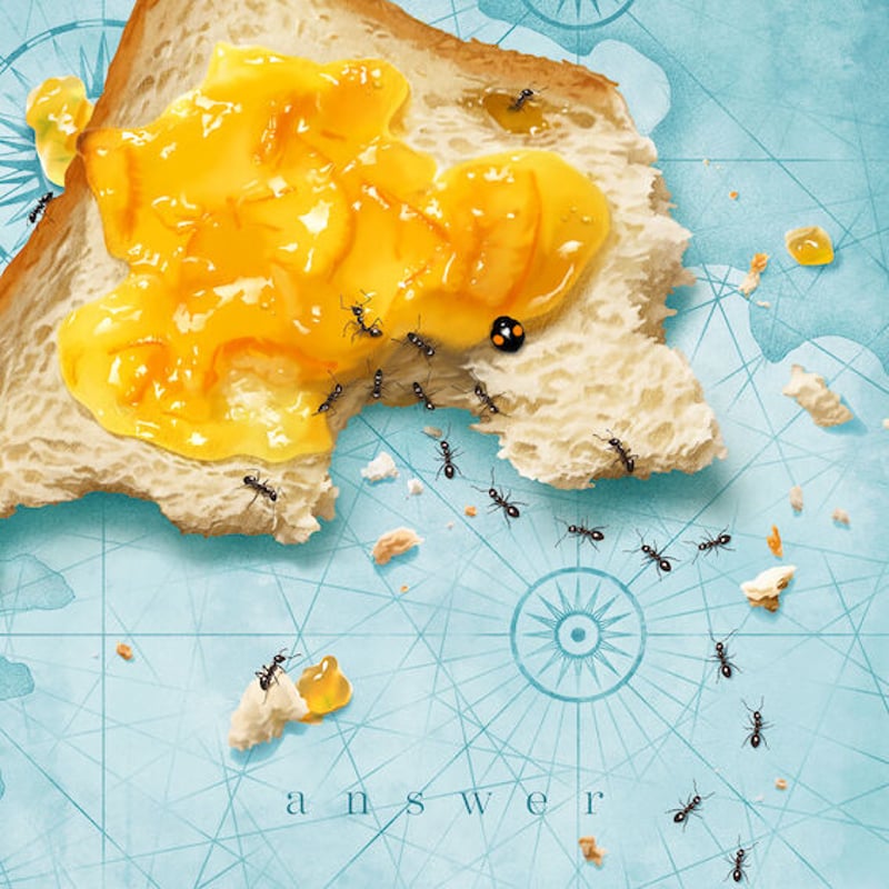 7th minialbum 「answer」(初回限定盤) | おいしくるメロンパン Onl