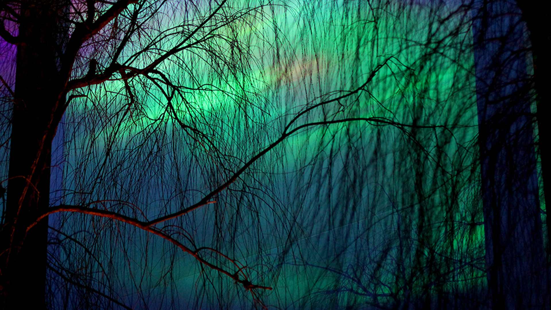 Nordic Cool - Image Engineering